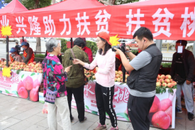博源国际(中国区)-官方网站