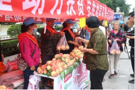 博源国际(中国区)-官方网站